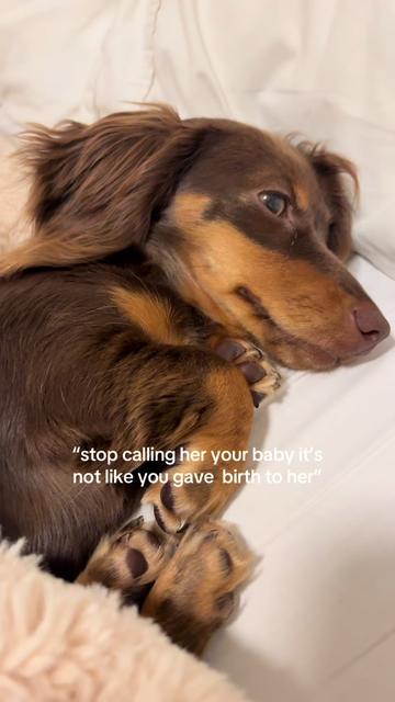 @It&rsquo;s Frankie Girl