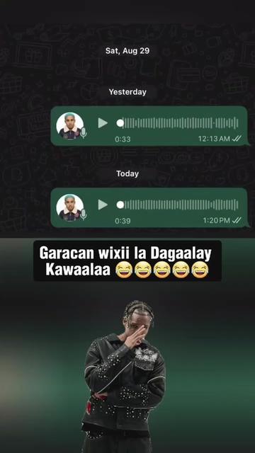 @cirshidawi