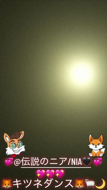 @🦊キツネダンス🦊🐏🌙