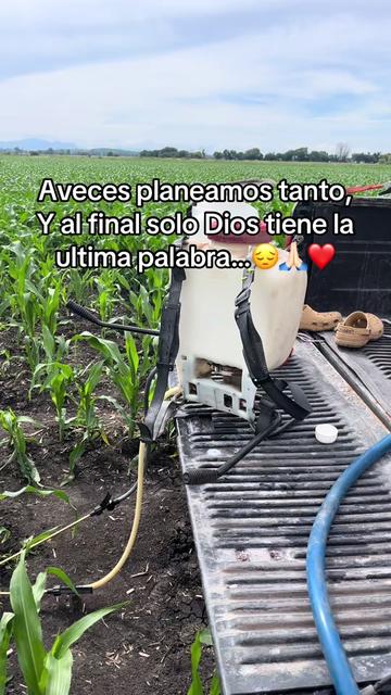 @Yeselin Cervantes