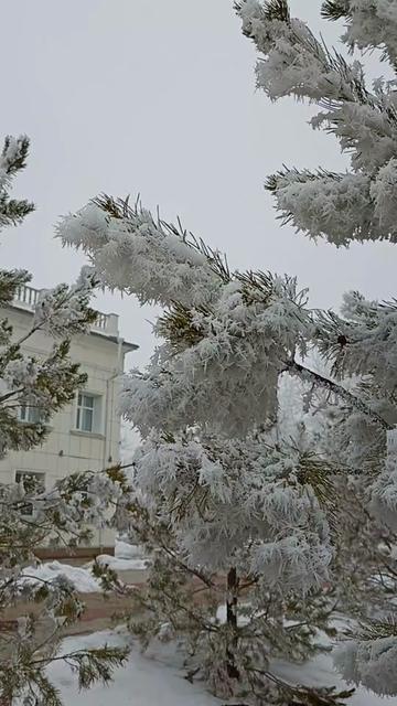 @Эльпис