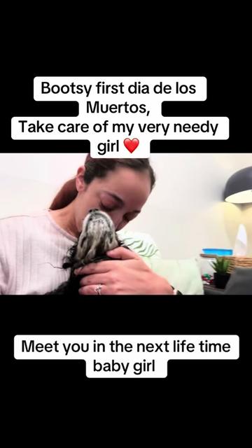 @Vanessa Matos