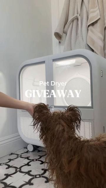 @Honey The Pomapoo 🧸