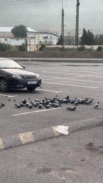 @Pak Xəzər elektronika kreditlə