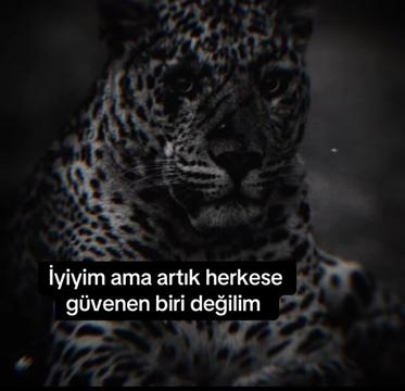 @çılgın 🚴♂️🇹🇷🫡