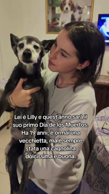 @Valentina Sassi