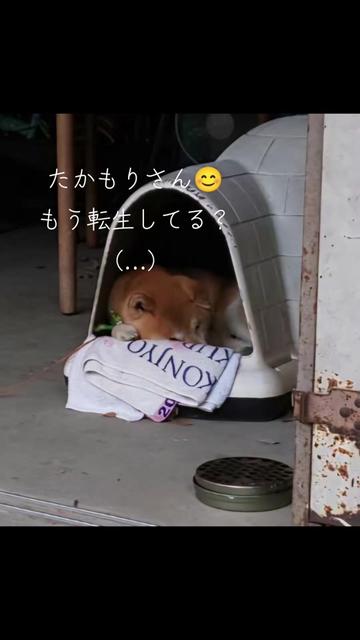@チルチルみちる