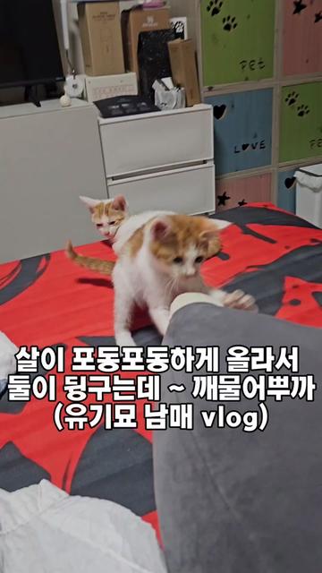 @๐ฉ์ด์์ฌ×234๐ฉ