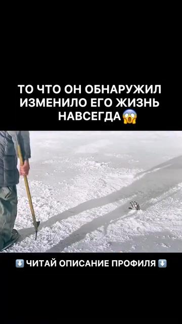 @Кино и сериалы🎬🍿