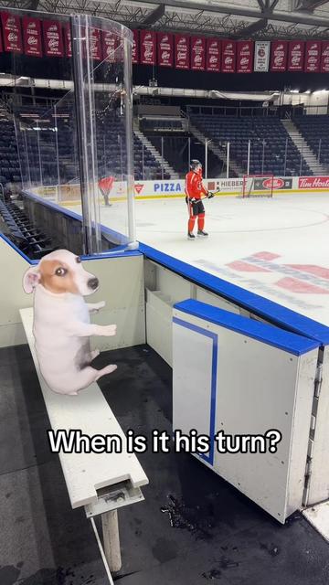 @Medicine Hat Tigers
