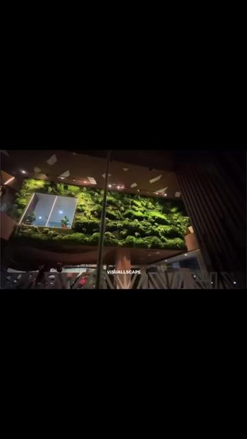 @Visuallscape