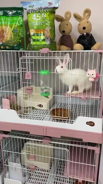 @Pet for Life