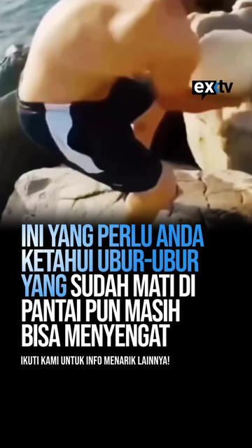 @Expressi Media