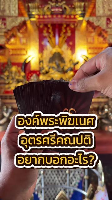 @นินจา “เปิดไพ่” ฮีลใจ 🕉️🌟