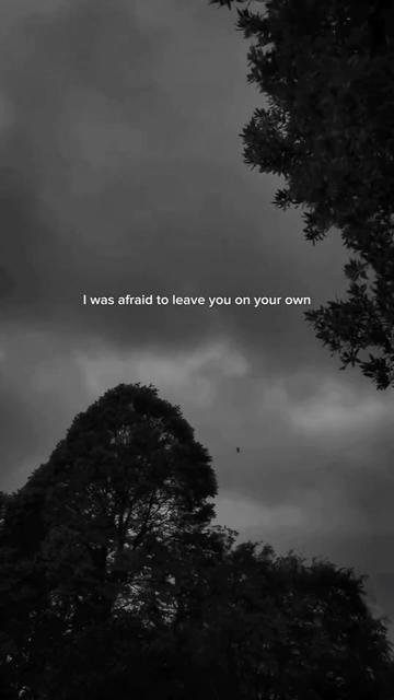 @fovdark