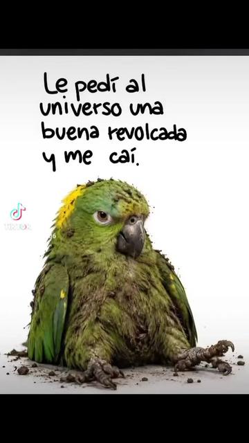 @💞💞 la Culichi💞💞