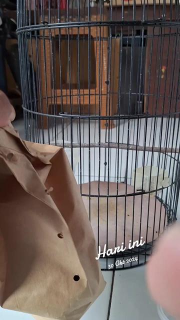 @totalbukpar