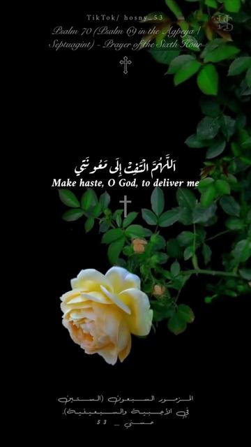 @حُسْـنِــي † 𝙷 𝙾 𝚂 𝙽 𝚈