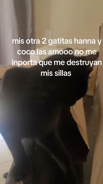 @Liliana Contreras🐥💜🐨🍉✨️👑