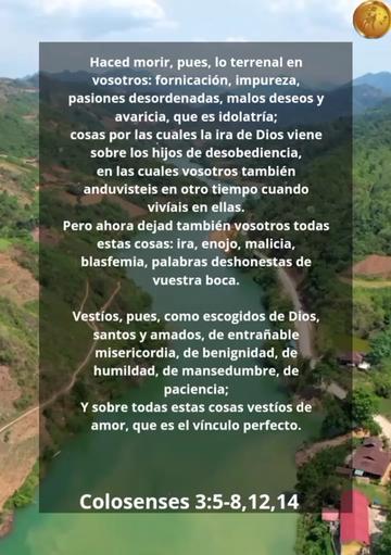 @Vicayquipa
