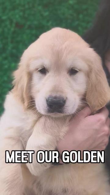 @Petland Oklahoma City