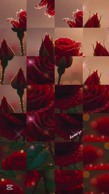 @🌷❤️🌷