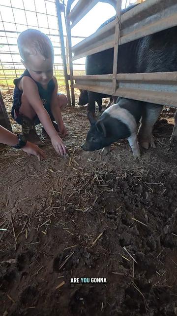 @ABC Homestead