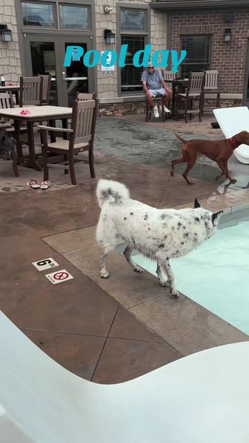 @Wiggle butt