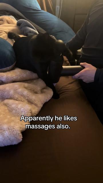 @Tasha