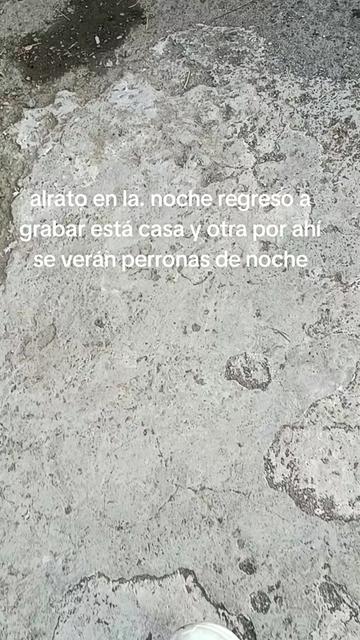 @negro jarocho