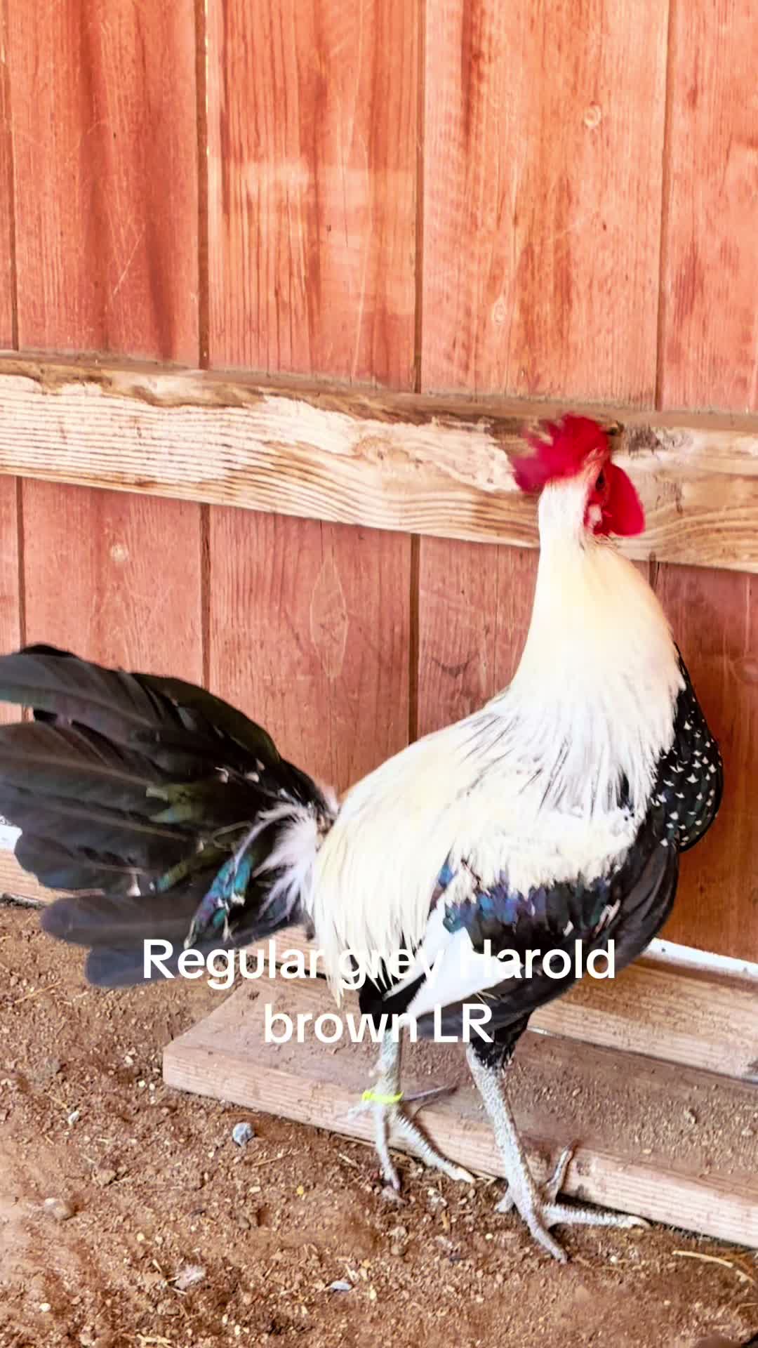 @A.MENDOZA.FARM.USA 74HWY