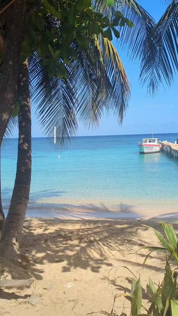 @Mac🌺🗺️| Solo Travel & UGC