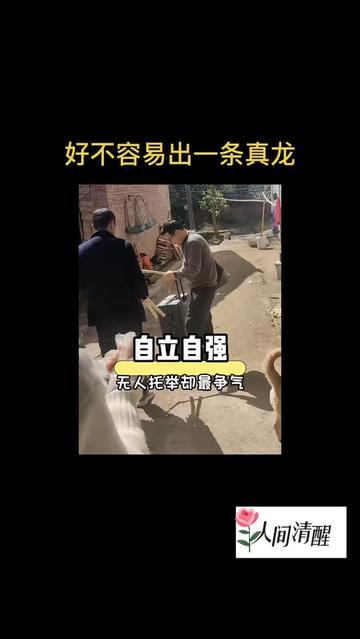 @人间清醒