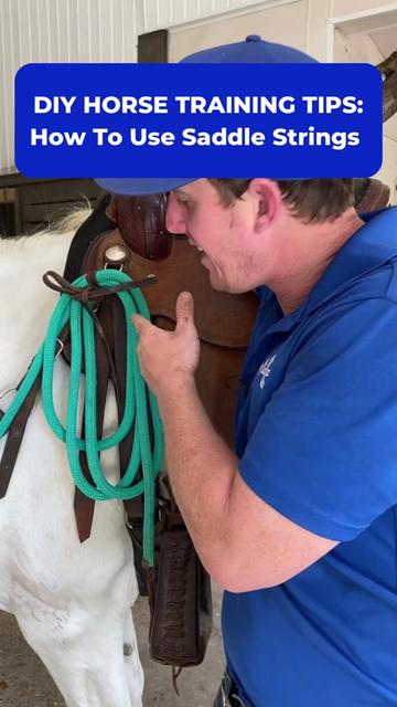@Horse Help