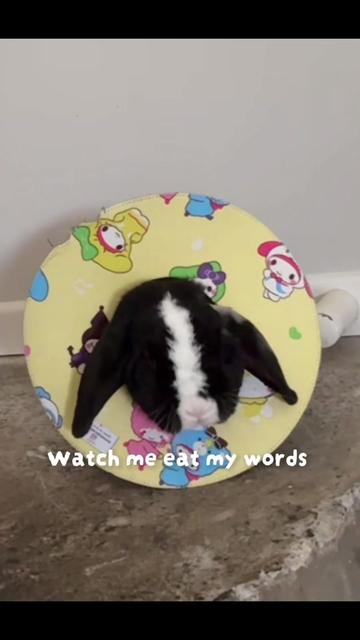 @Kate Greenaway