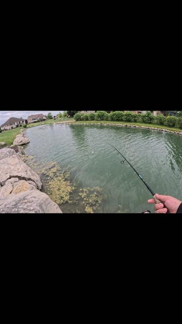 @BassMaxxers