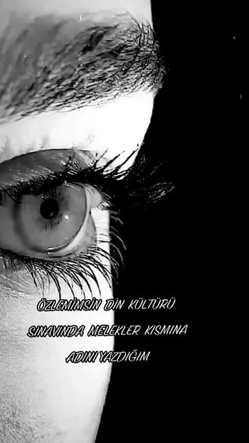 @🇹🇷. YALINIZ ADAM 🇹🇷