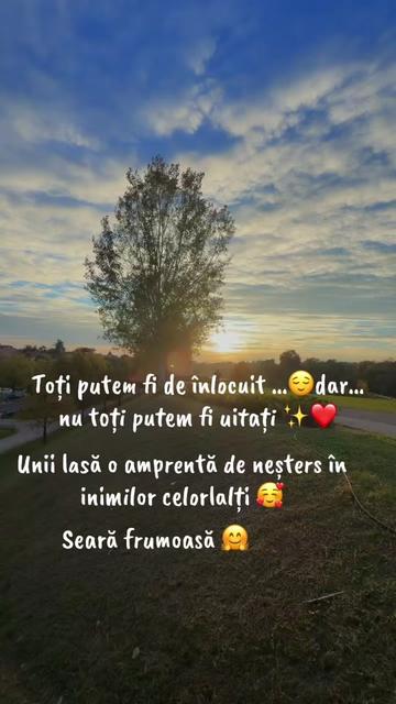 @❤️stella❤️