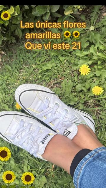 @🌎Ventura🇲🇽🦊