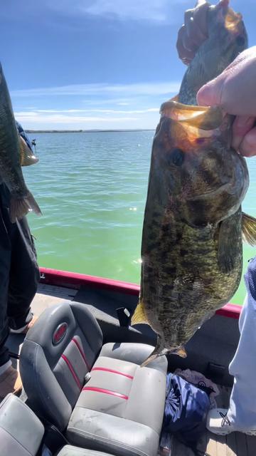 @Punkin Jigs