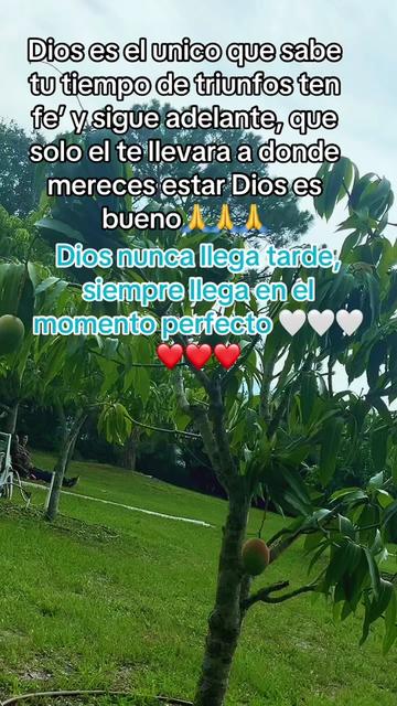 @⚜️Marcelino Diaz🫶🍃🍃🌖🇲🇽