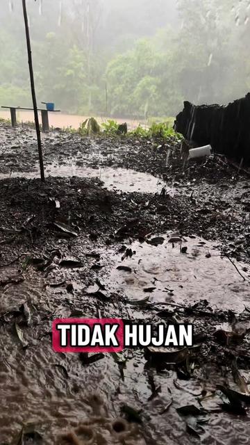 @Jangan Lokoh