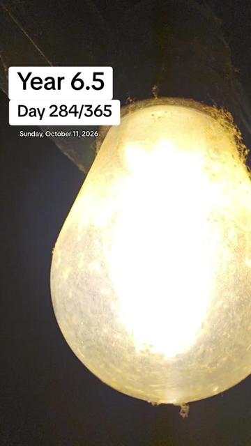 @Dreadful Bird