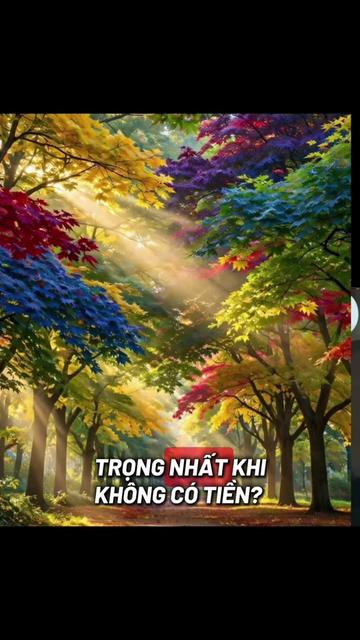 @Huyen NGH