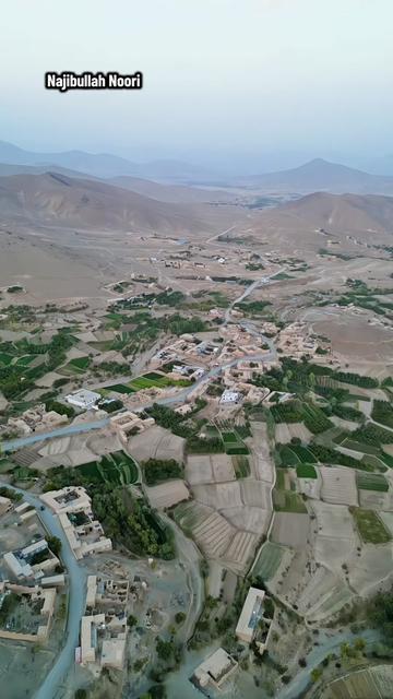 @Najibullah Noori