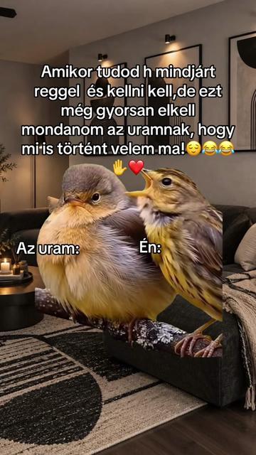 @♡🌷Kov&aacute;cs Melinda𓍢ִ໋🌷͙֒♡