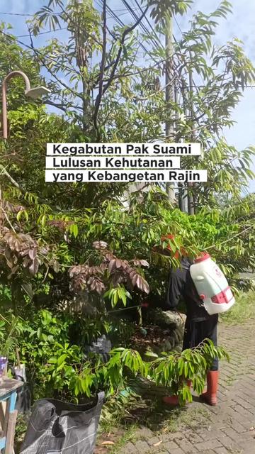 @LADIN ECOFARM STORE