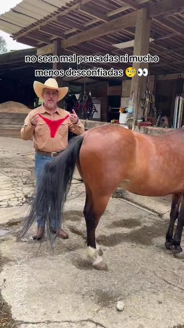 @carriles altos de jalisco🐎
