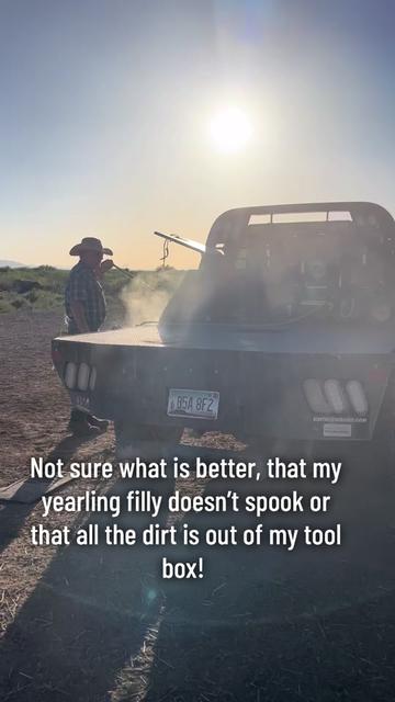 @carlosthecowpuncher