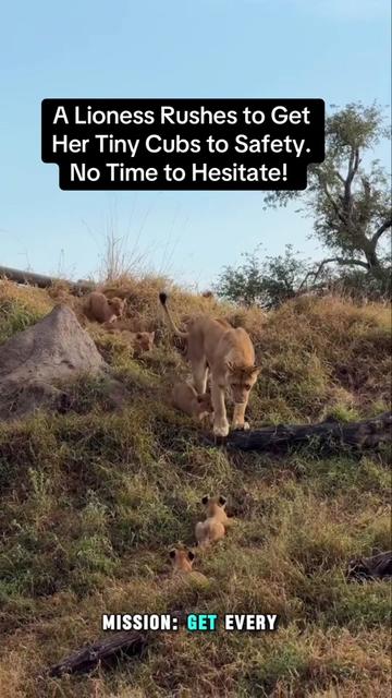 @KJ@LoveAnimalsEpicNature